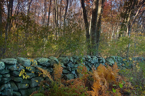 istock New England stone wall in autumn 92462391