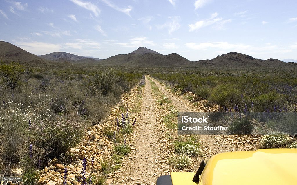 Estrada no Deserto - Foto de stock de 4x4 royalty-free