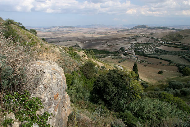 Panorama of farm fields in a mountain valley in the broiling sun, dry grass and green crops, sheer cliffs in the distance, hot summer, Sicily