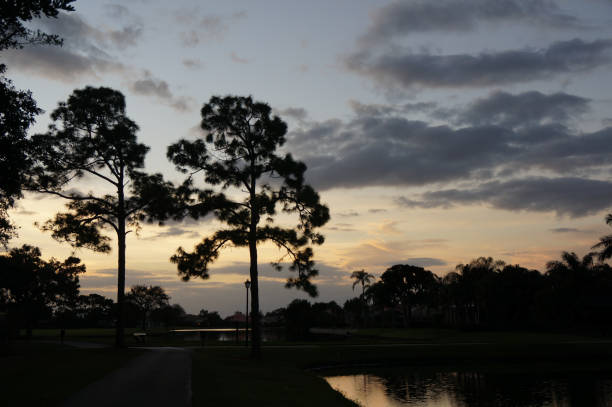 istock sunset in the neighborhood 924629402