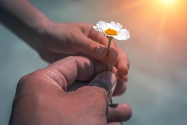 istock hand giving wild flower with love at sunset. 924632126