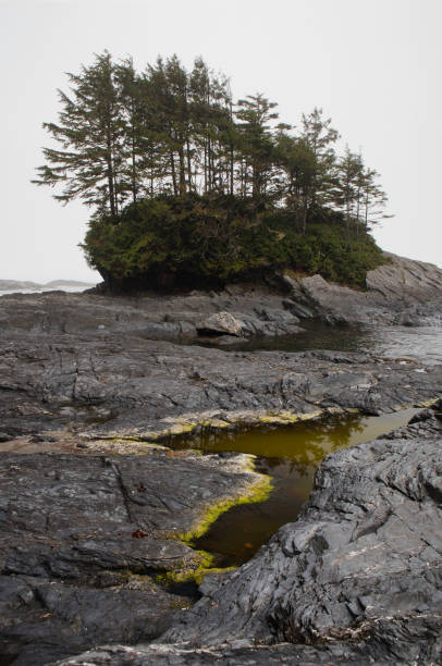 istock Botany Bay in Port Renfrew BC 924632312