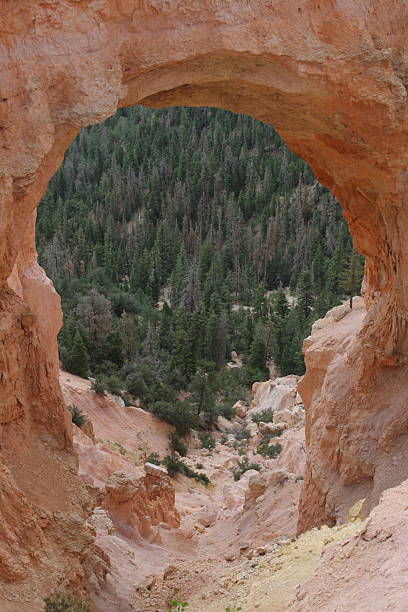 Bryce Canyon stock photo
