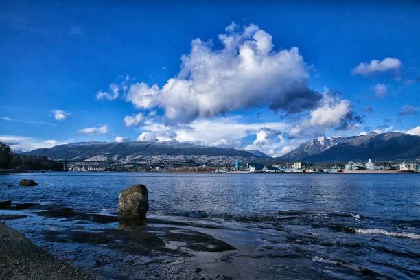 istock Winter afternoon in Stanley Park, Vancouver, Canada 924641244