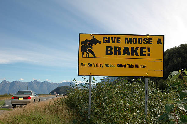 istock Signpost warnig for moose in Alaska 92464245