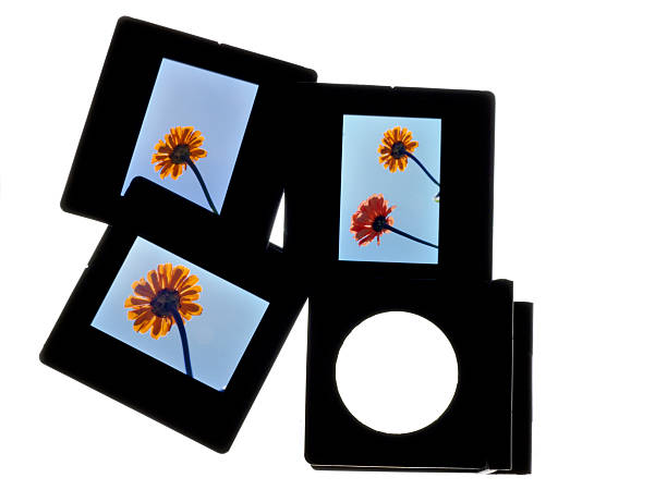 lâminas e lupa ii - lightbox slide frame black imagens e fotografias de stock