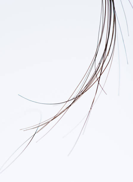 Macro of group hair strands Macro of group black hair strands isolated on white background hair strands stock pictures, royalty-free photos & images