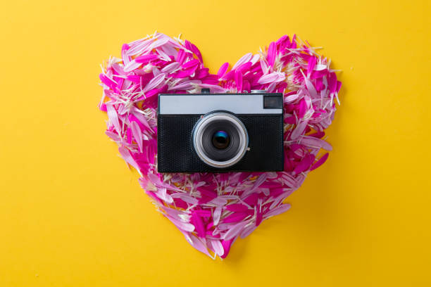 istock flower petals in heart shape and camera 924644702