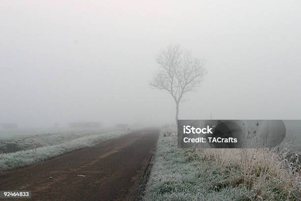 Árvore Em Névoa 2 - Fotografias de stock e mais imagens de Alfalto - Alfalto, Ao Ar Livre, Cardo-penteador