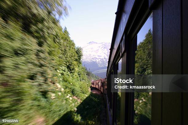 Alaskan Treno 2 - Fotografie stock e altre immagini di Alaska - Stato USA - Alaska - Stato USA, Albero, Cespuglio