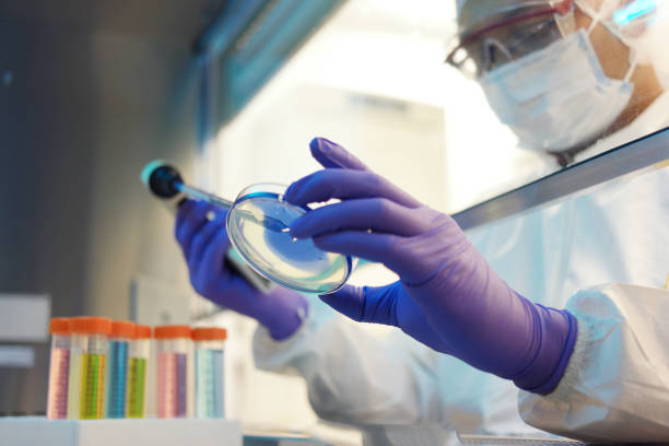 scientist working in a cleanroom - microbiology imagens e fotografias de stock