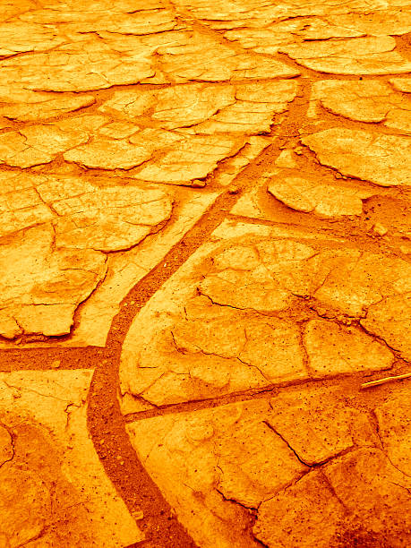 Cracked Earth stock photo