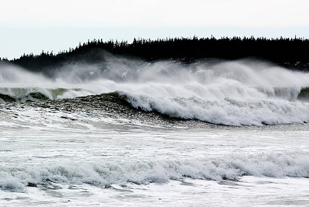 istock wild winter waves crashing on beach 92465784