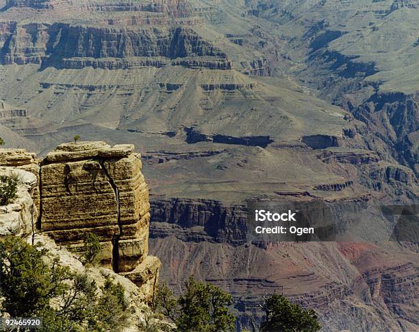 Grand Canyon Widok - zdjęcia stockowe i więcej obrazów Bez ludzi - Bez ludzi, Czerwony, Drzewo