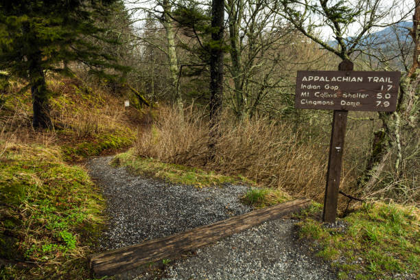 istock Appalachian Trail at Newfound Gap 924659706