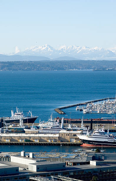 istock Boats - Down at the Marina 92466095