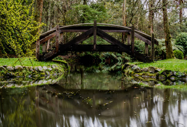 istock A footbridge featured in a garden 924663204