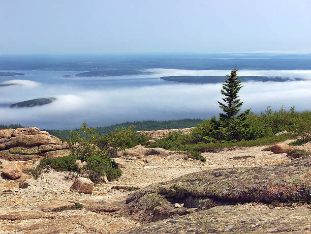 istock Seashore of Acadia National Park 92466641