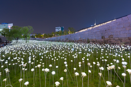 Seoul, South Korea - July, 2016 : LED roses flower garden at Dongdaemun Design Plaza (DDP).