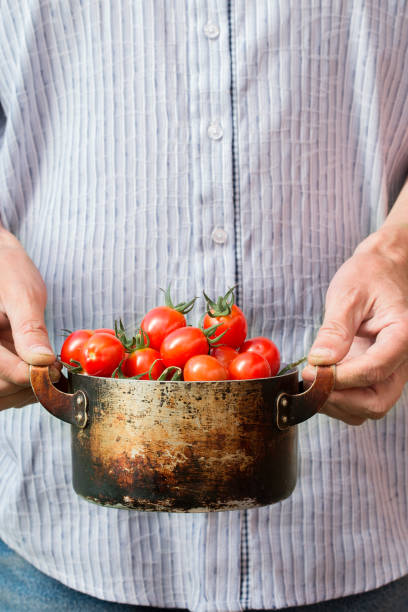 istock Farmer holding fresh  Cherry Tomatoes. Vegetables harvest 924673730