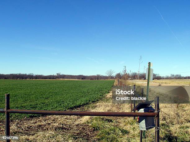 Campo Di Erba E Road - Fotografie stock e altre immagini di Agricoltura - Agricoltura, Albero, Ambientazione esterna