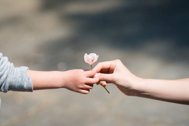 istock Parents hands handing poppy flowers 924677472