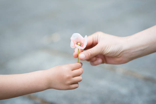 istock Parents hands handing poppy flowers 924677768