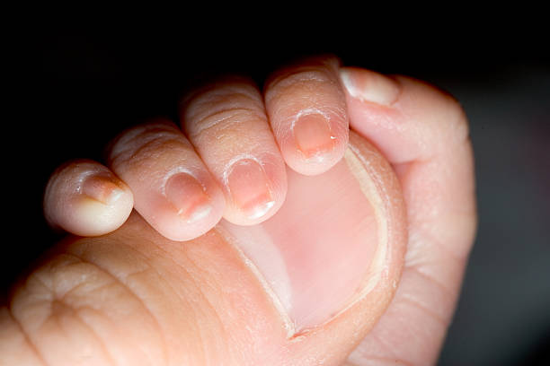 People - Preemie Baby Hand stock photo