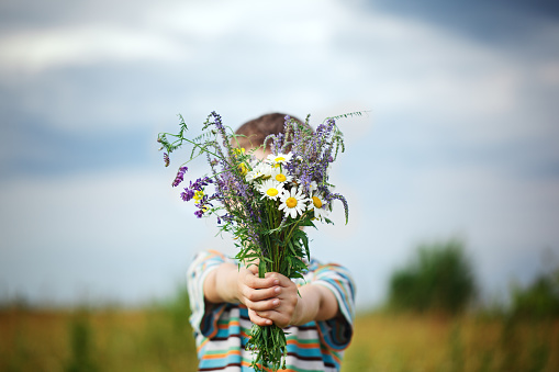 Little kid boy holding bouquet of fields flowers. Child giving flowers