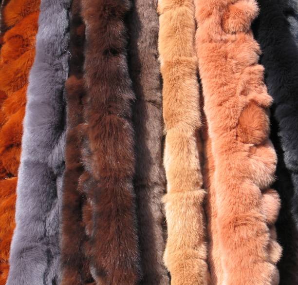 istock Fur -6212Scarves 92468421