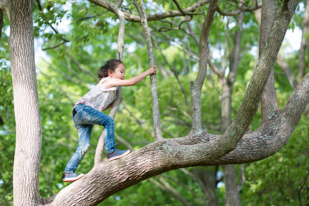 istock Little girl climbing a tree 924685442