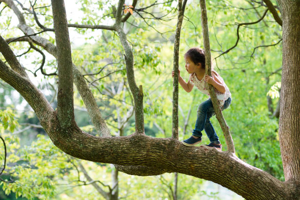 istock Little girl climbing a tree 924685484