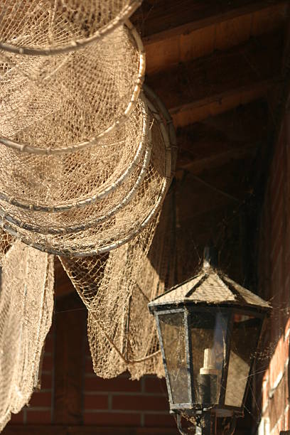 60+ Staggered Array Stock Photos, Pictures & Royalty-Free Images - iStock