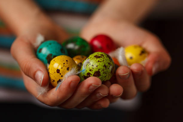 istock Child's hands holding colored quail eggs on pink background. Easter Spring holiday concept 924686352