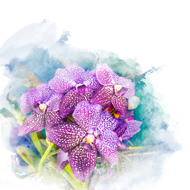 istock Illustration of beautiful blossom orchid. 924688416