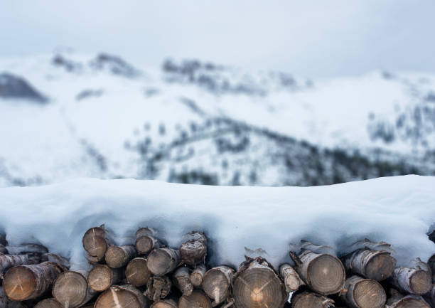 blue shiny winter snow background with woods.