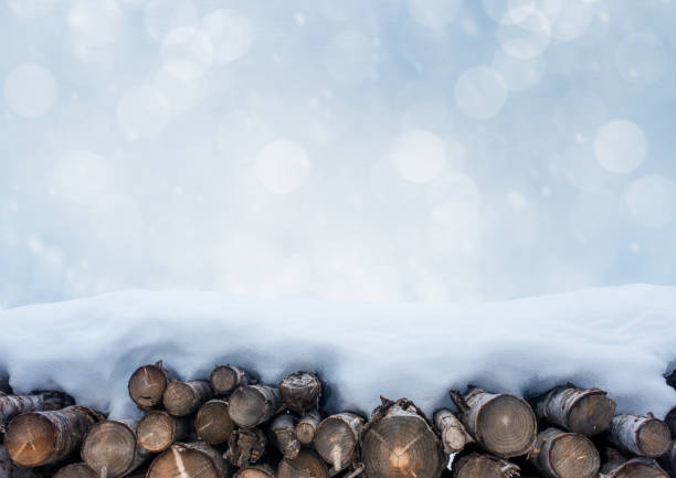 blue shiny winter snow background with woods.