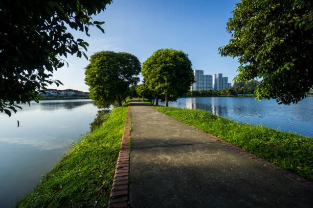 istock Beautiful park with nice lake view & pedestrian walkway 924689582
