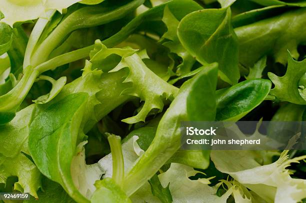 혼합 샐러드용 잎을 배경 0명에 대한 스톡 사진 및 기타 이미지 - 0명, 건강관리와 의술, 다양