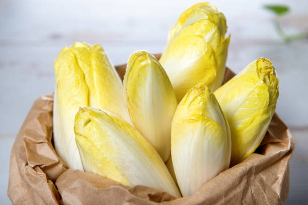 raw organic belgian or french endive raw organic belgian or french endive belgian culture photos stock pictures, royalty-free photos & images