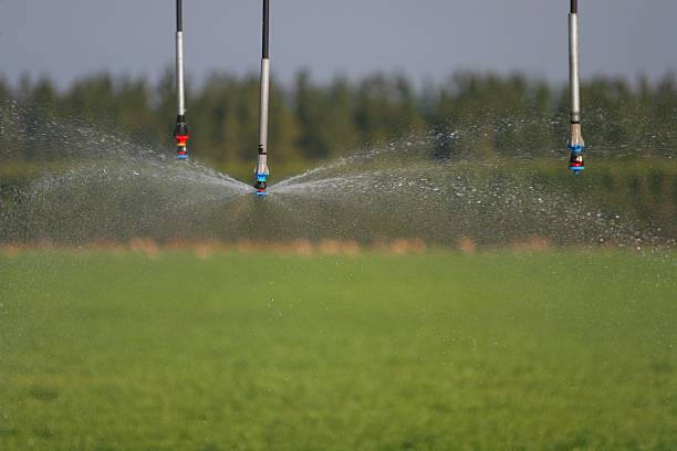 Irrigation 4 stock photo