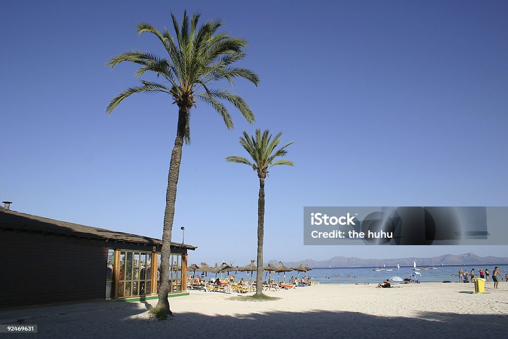 Au beatch - Photo de Arbre libre de droits