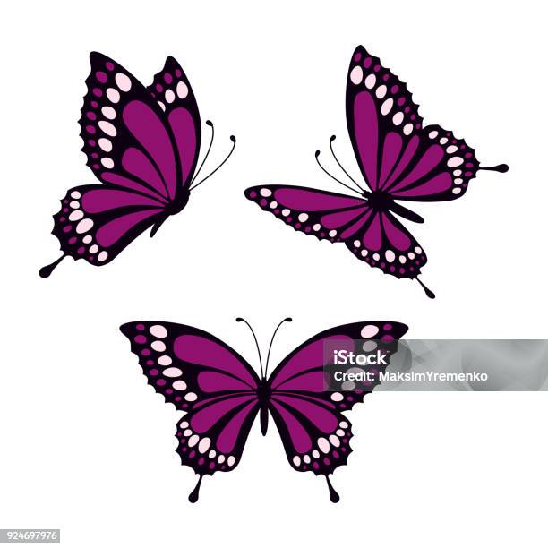 Set With Butterflies Stock Illustration - Download Image Now - Butterfly - Insect, Purple, Computer Graphic