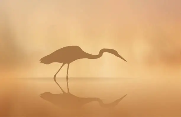 Vector illustration of Vector Heron in the mist in the morning lake.