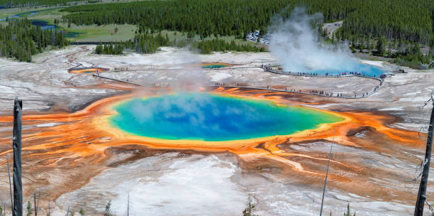 Panorama of Grand Prismatic Spring Panoramic view of Grand Prismatic Spring in Yellowstone National Park, Wyoming. midway geyser basin photos stock pictures, royalty-free photos & images