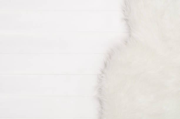 istock White wood planks texture and fur pattern background top view 924701230