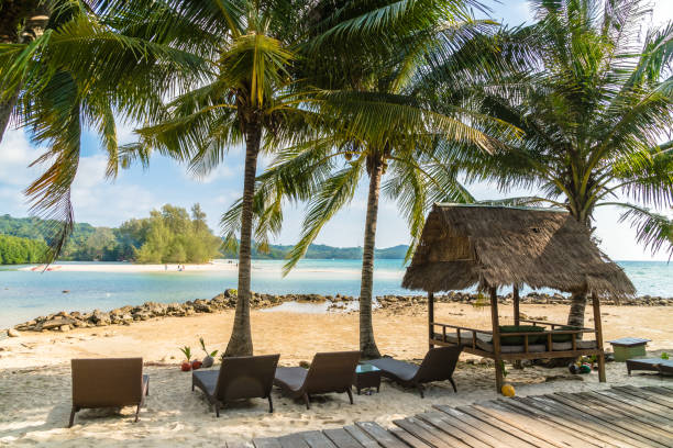istock Coconut palm tree on the beach and sea 924701754