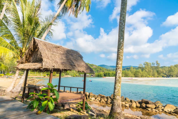 istock Coconut palm tree on the beach and sea 924701858