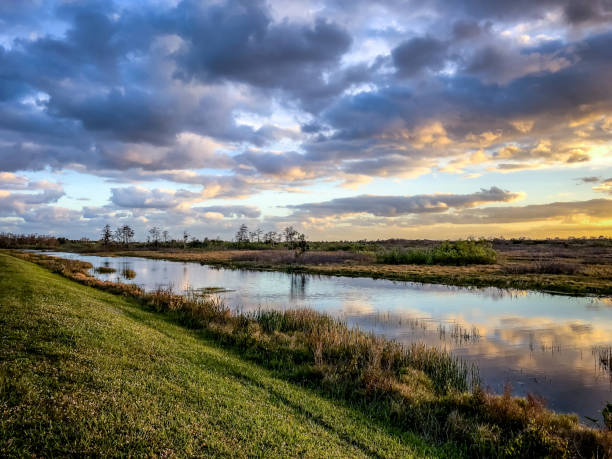 istock sunset in the swamp 924702674