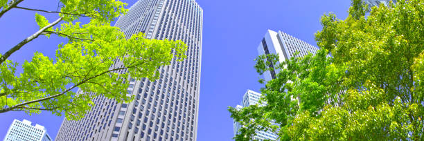 istock Shinjuku landscape (panorama) 924702922